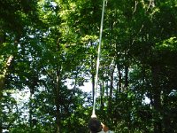 Luau (50) : Cancun 2016 June